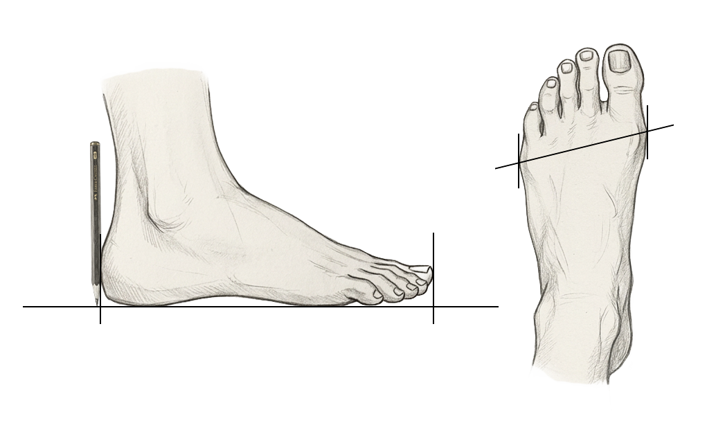 Where to measure the length and width of your foot